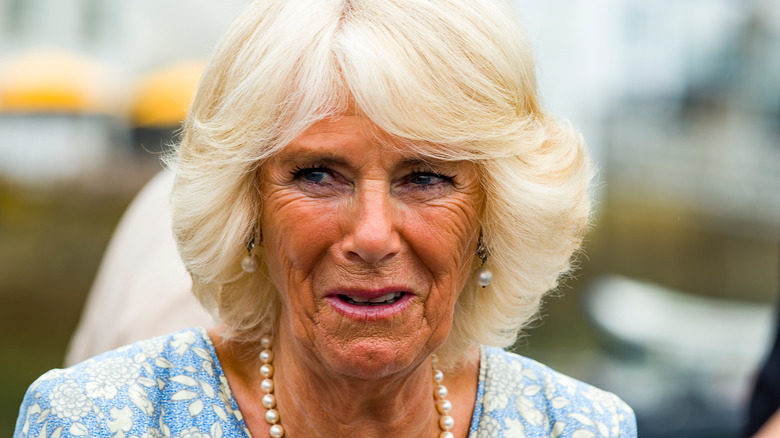 Camilla Parker Bowles smiling