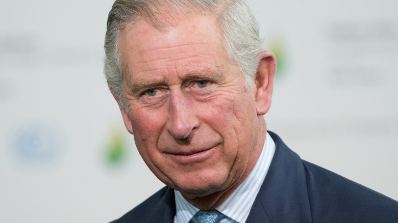 prince charles alone