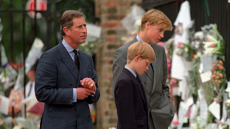 Young King Charles, Harry, and William looking at flowers