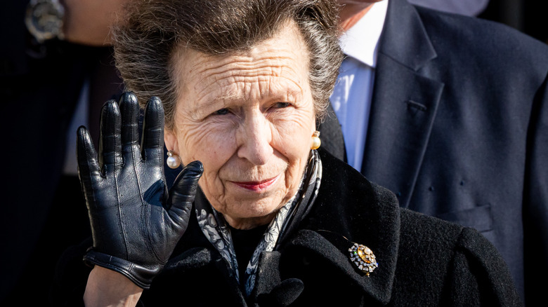 Princess Anne waves to reporters