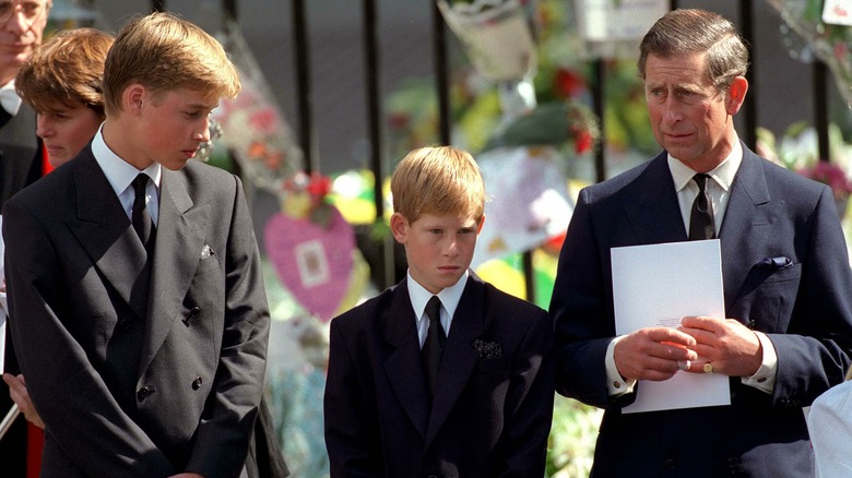 Prince William, Harry, and Charles at Diana's funeral