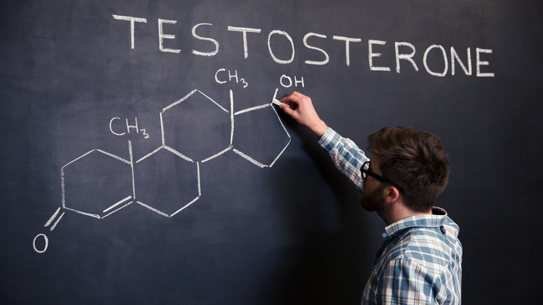 Man writing the word testosterone on a blackboard