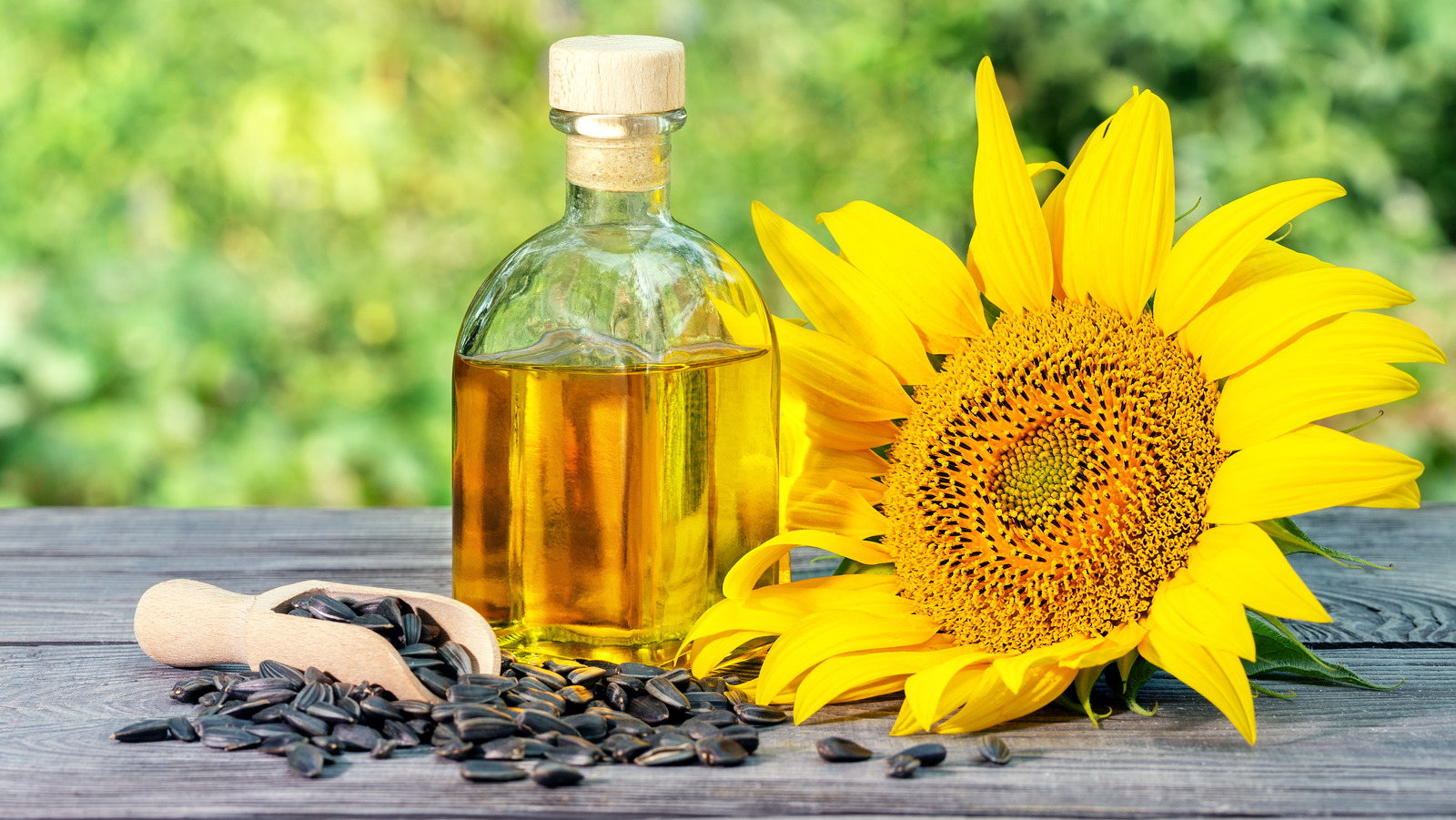 How Sunflower Oil Could Help Your Hair