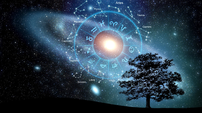 Zodiac wheel in starry sky above a tree 