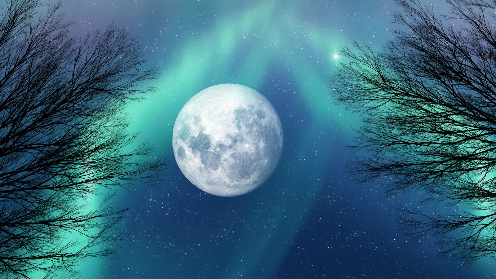 how-the-august-11-full-moon-will-affect-you-if-you-re-a-taurus