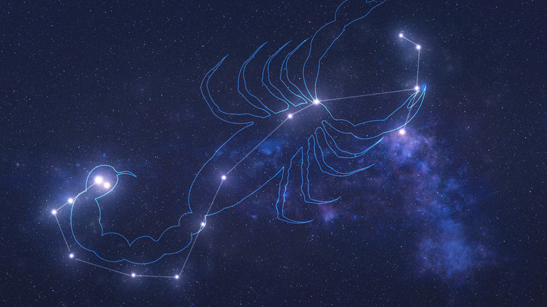 Scorpio constellation in the night sky 