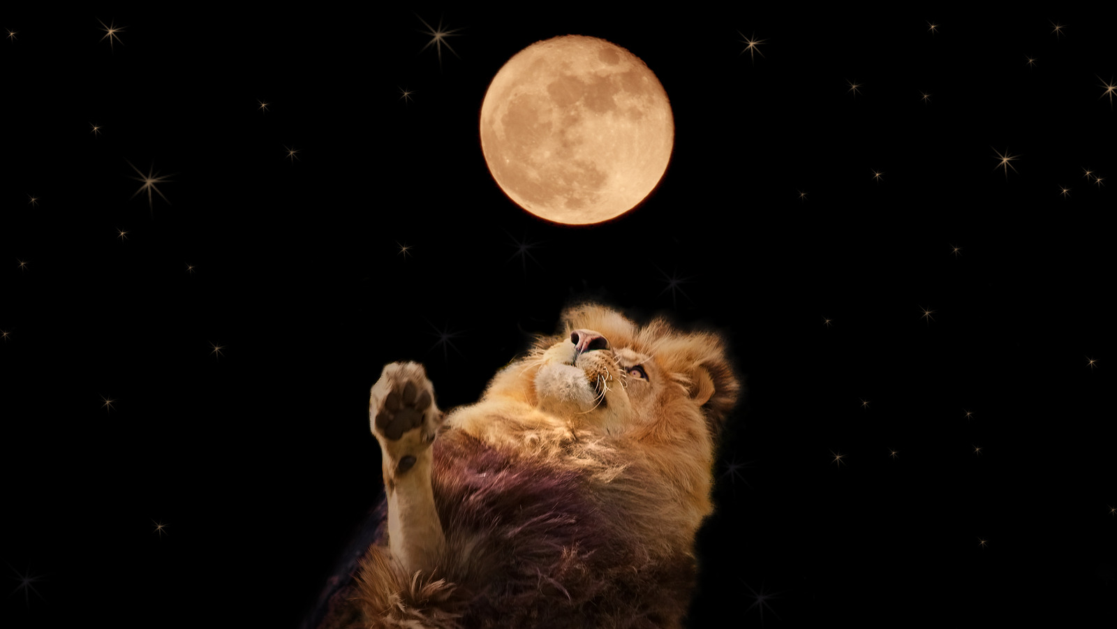How The June 14 Full Moon Will Affect You If You're A Leo