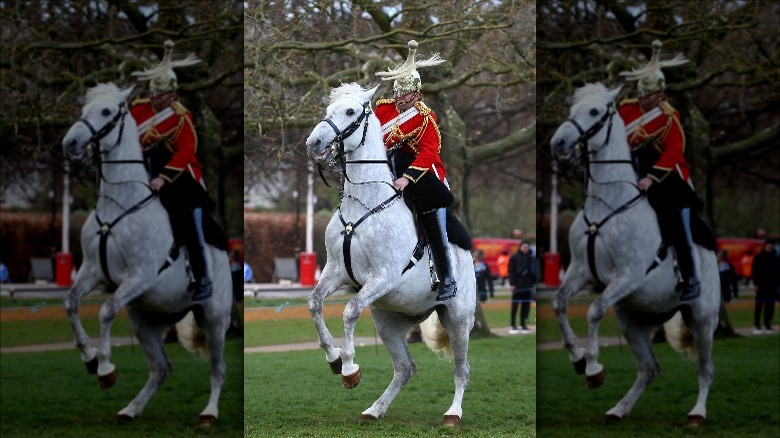 Queen's soldier falling off horse at Platinum Jubilee practice