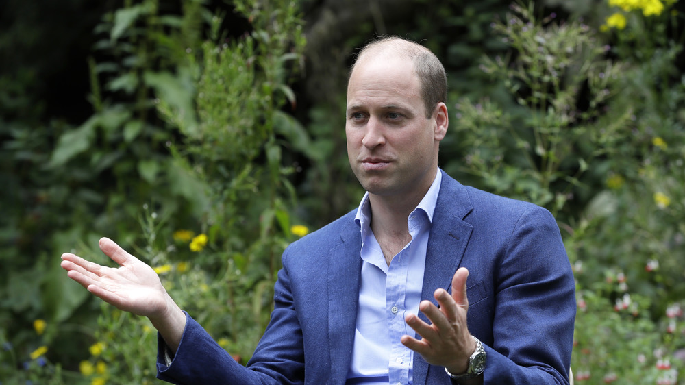 Prince William speaking in a garden