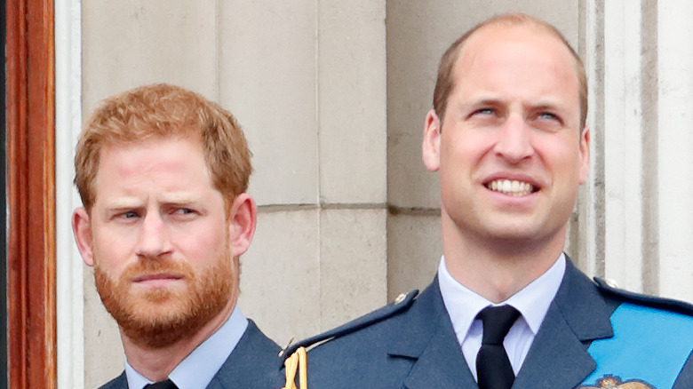 Prince Harry with brother Prince William.