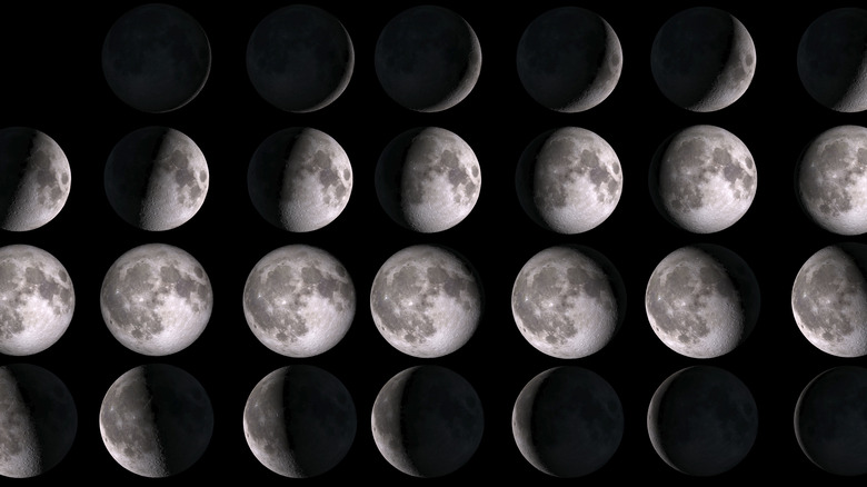 The phases of the moon 