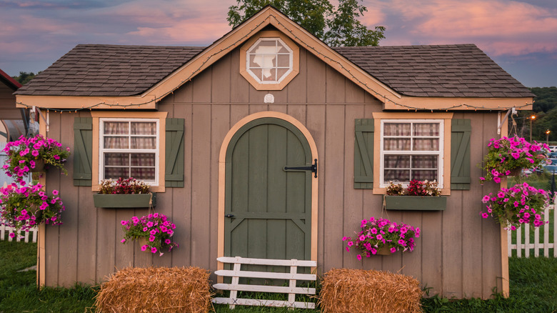 decorated she-shed