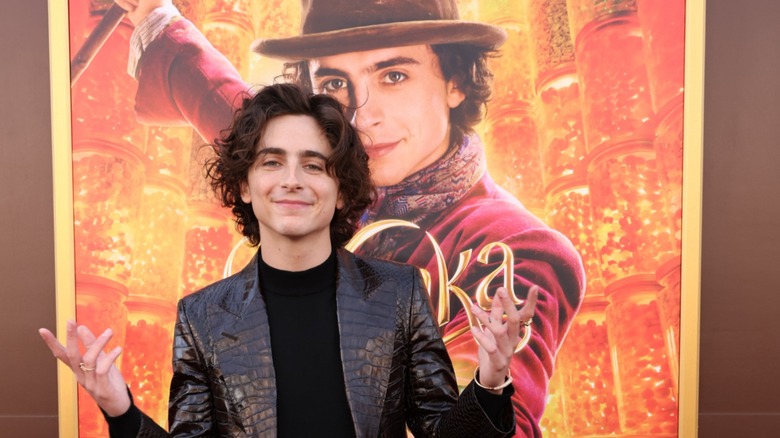 Timothée Chalamet smiling hands up