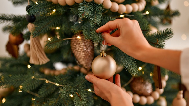 Person hanging ornaments on tree 