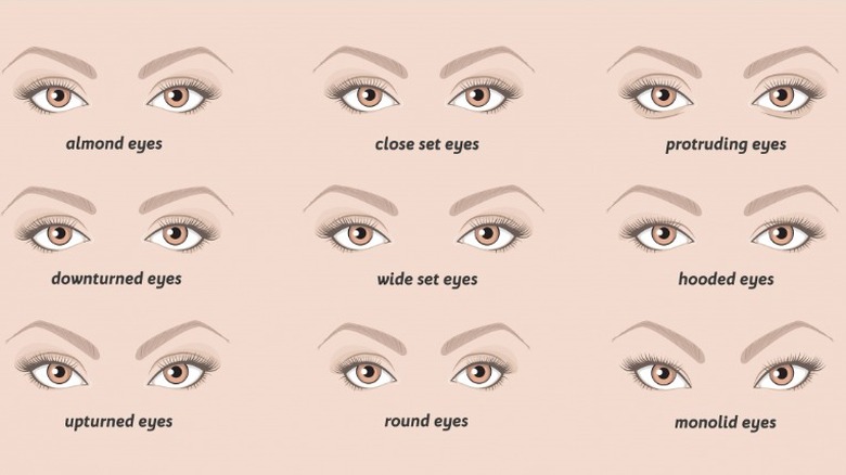 Chart of different eye shapes