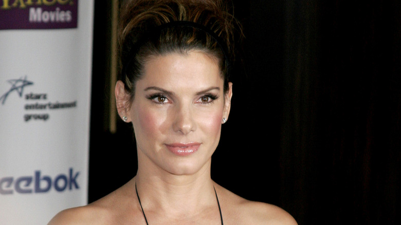 Sandra Bullock shows her features