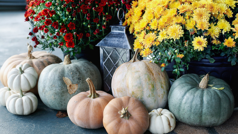 White pumpkins, mums, and lantern