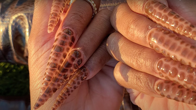 brown crocodile stiletto nails