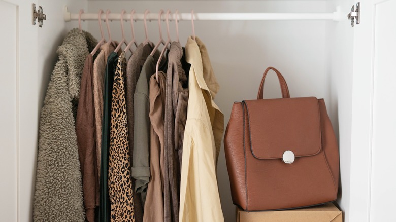 Inside of closet with small collection of fall-colored clothes