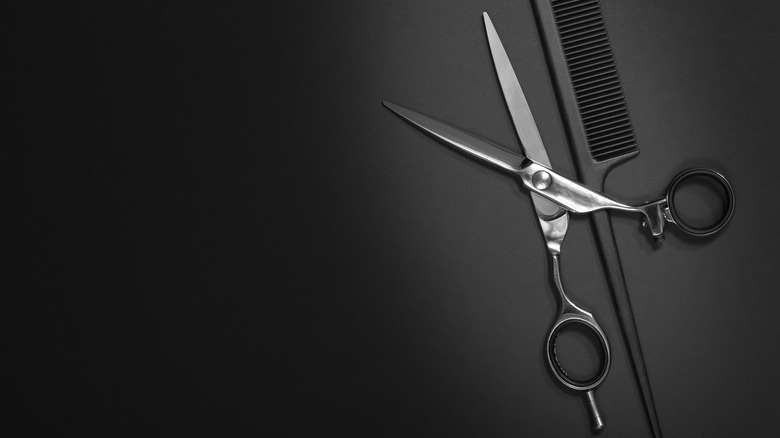 shears and a comb