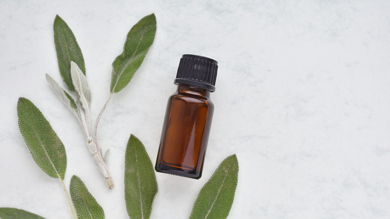 clary sage oil