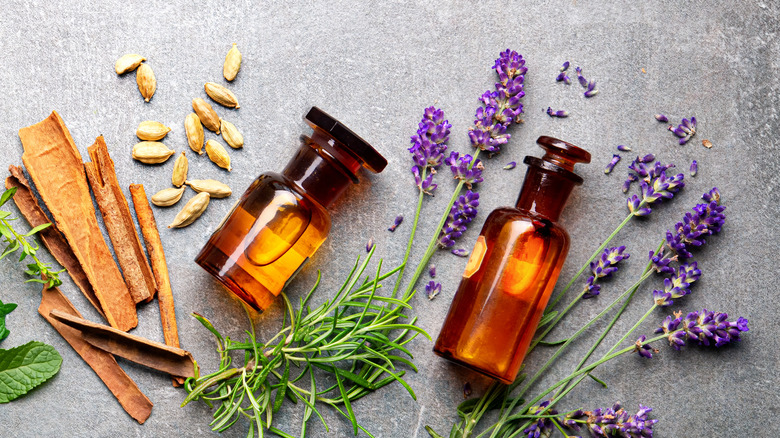 Flat lay of bottled essential oils, cinnamon sticks, lavender, mint and rosemary