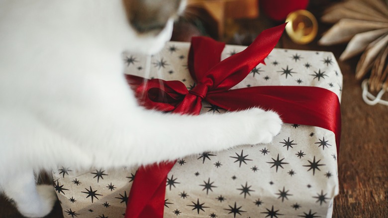 Cat clawing ribboned package