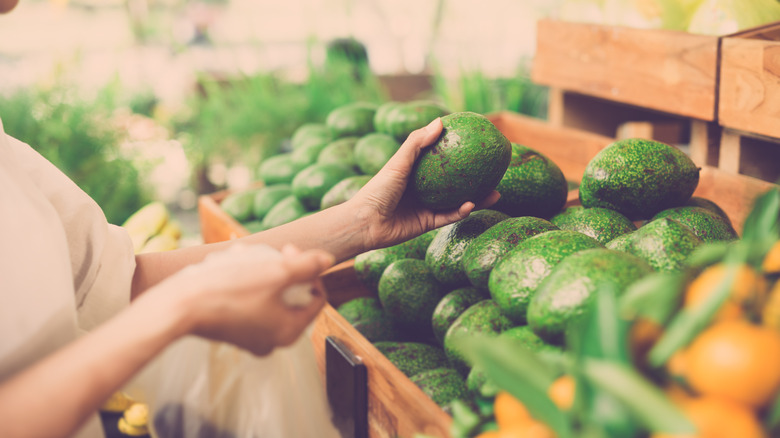 person testing avocado in grocery store