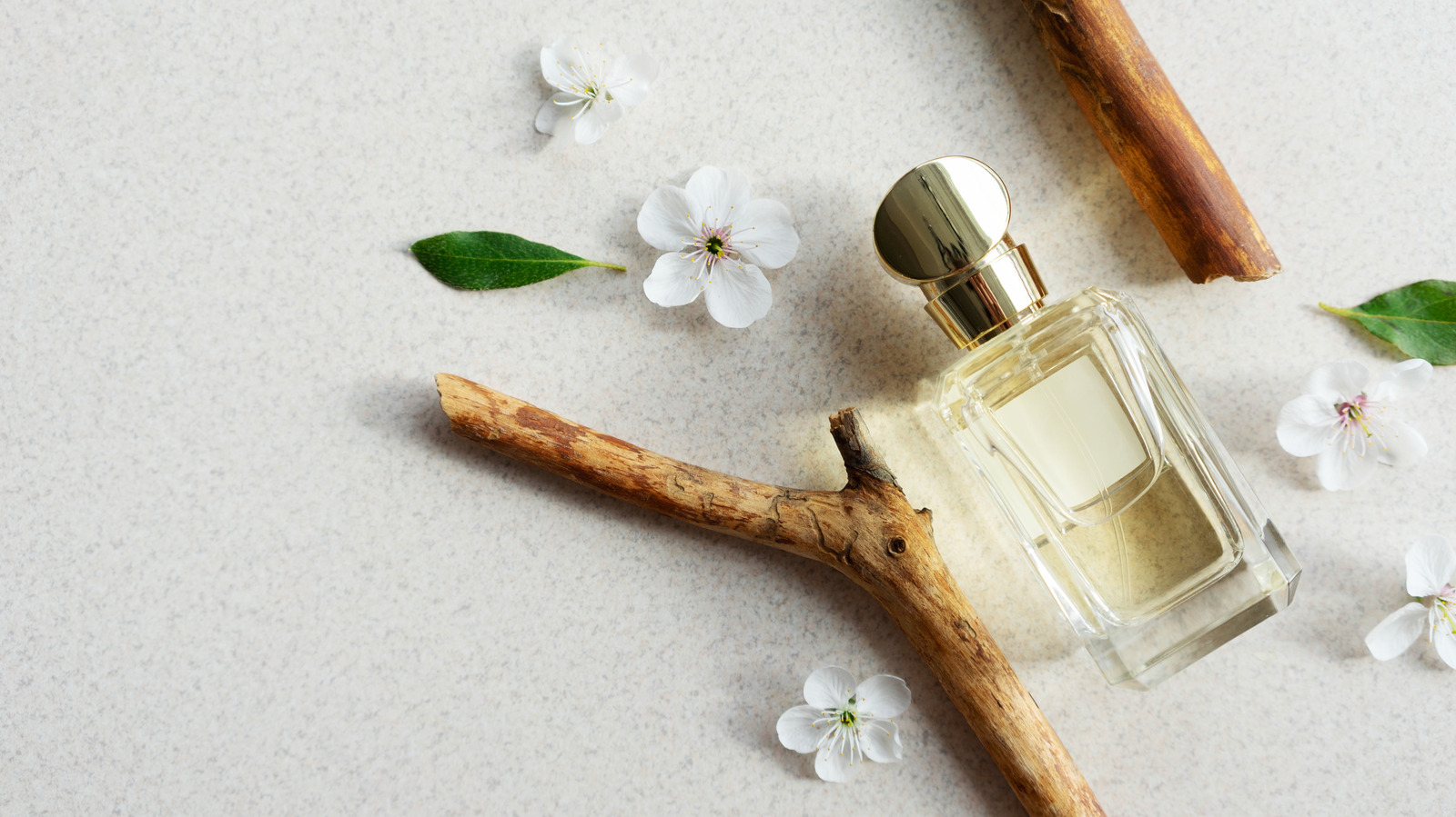 Na NIn - Pairing Perfume Oil / 10ml – Here.