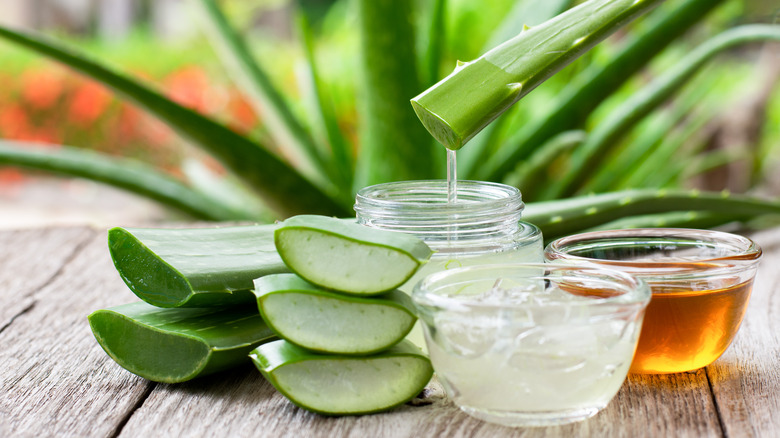 Aloe vera leaf with aloe gel and honey on a table. 