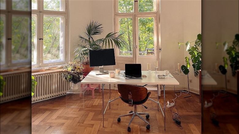 airy office space with several plants