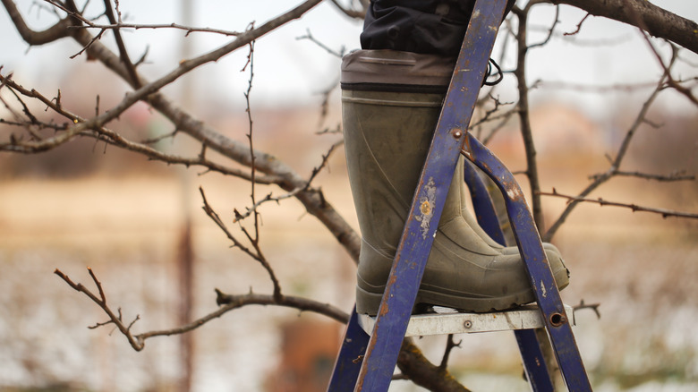 Woman in boots on a ladder in winter