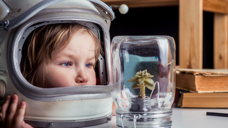 Little girl in helmet curious about a plant