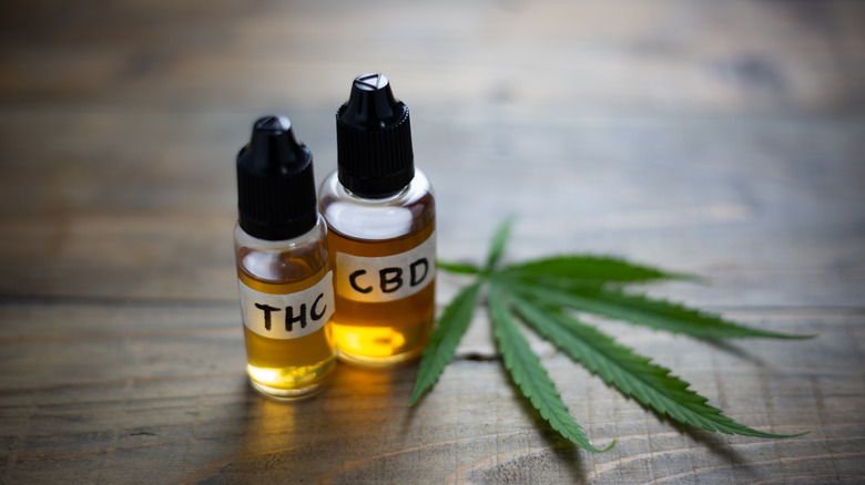 CBD oil in bottle