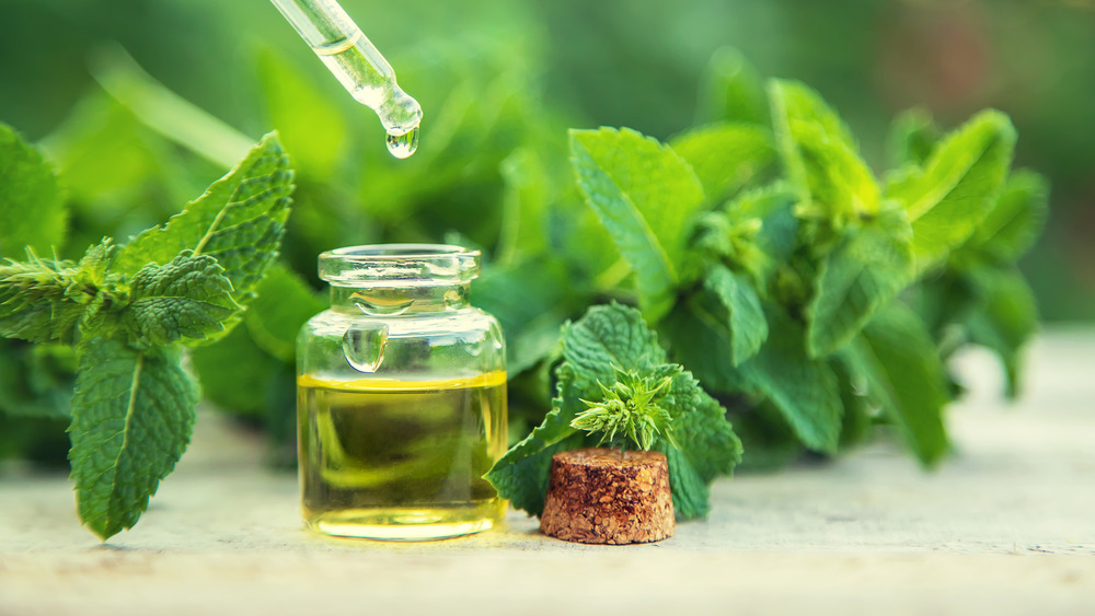 Peppermint oil and peppermint leaves 