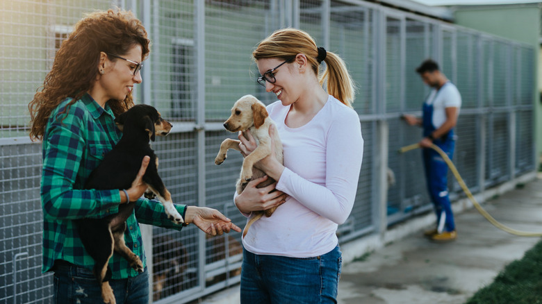 Women at animal shelter