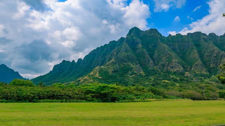 Kualoa Ranch