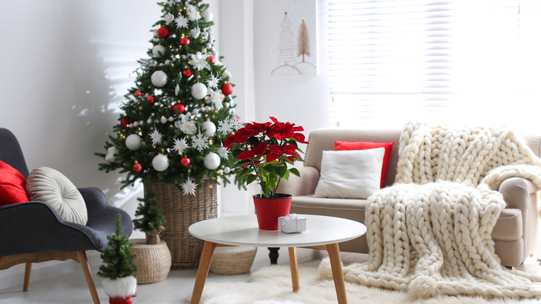 Christmas tree in tall basket