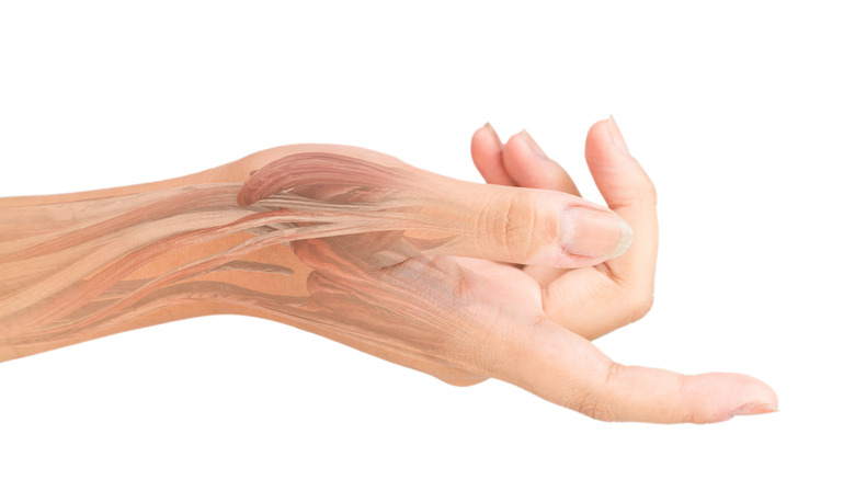 human body part wrist muscles