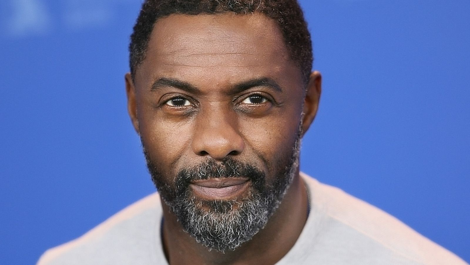 Idris Elba Makes A Startling Confession About Playing DJ At Meghan And ...