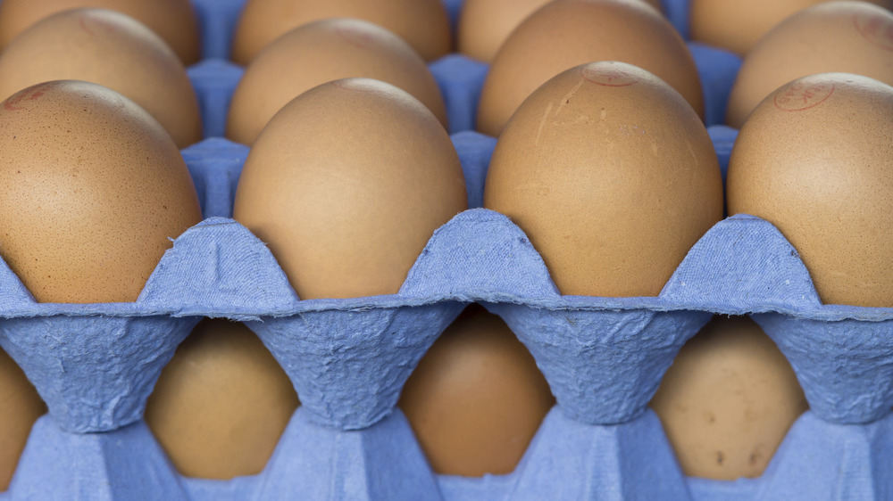 Brown eggs in a blue carton