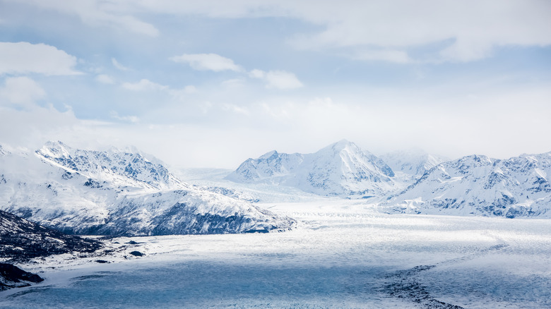 Alaska winter