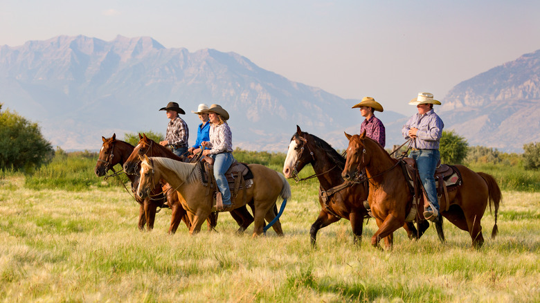 Group of people riding horses in the countryside 