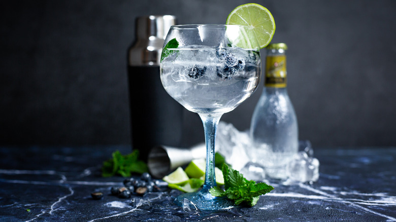 Tonic cocktail with lime and blueberries