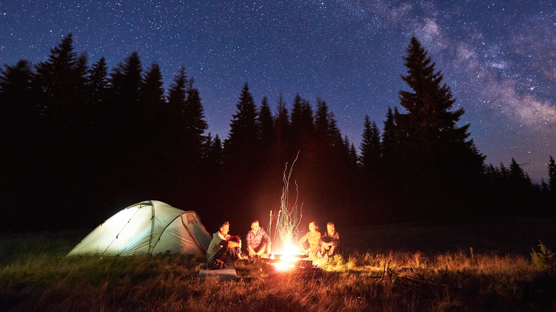 A group of campers in the forest around a fire