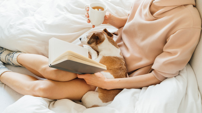 woman in bed with her dog reading