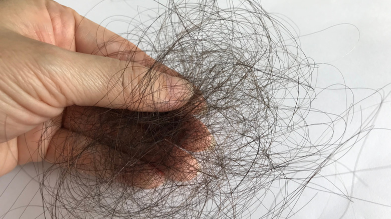 hand holding ball of shed hair