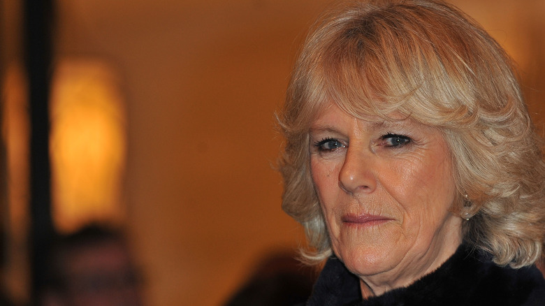 Close up of Camilla, Duchess of Cornwall