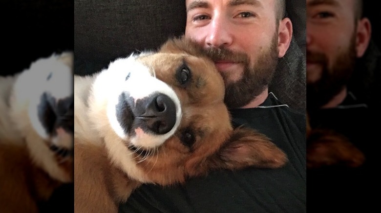 Chris Evans and dog Dodger