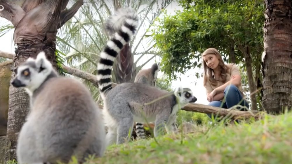 Bindi Irwin